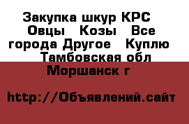 Закупка шкур КРС , Овцы , Козы - Все города Другое » Куплю   . Тамбовская обл.,Моршанск г.